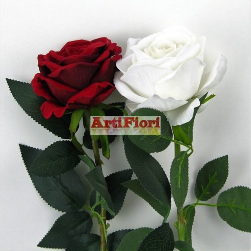20468 - Szálas bársony rózsa 50 cm