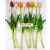 20481 - Tulipán bimbós szál gumiból 38cm