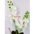 20638 - Orchidea 2 ágú szál levéllel 49cm