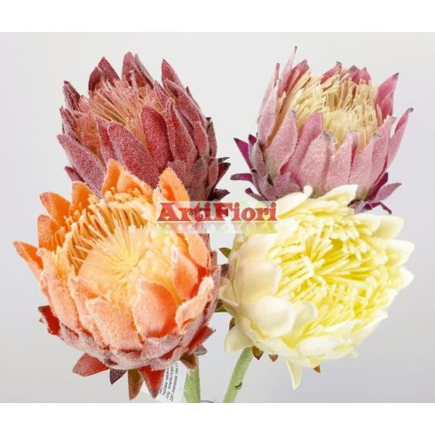 20708 - Protea szál 62 cm
