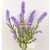22036 - Levendula 7 ágú csokor 43cm