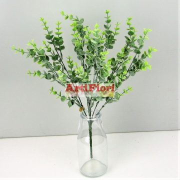 23978 - Eukaliptusz 7 ágú bokor 38 cm