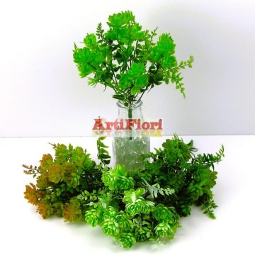 25057 - Kövirózsás eukaliptusz bokor 31 cm