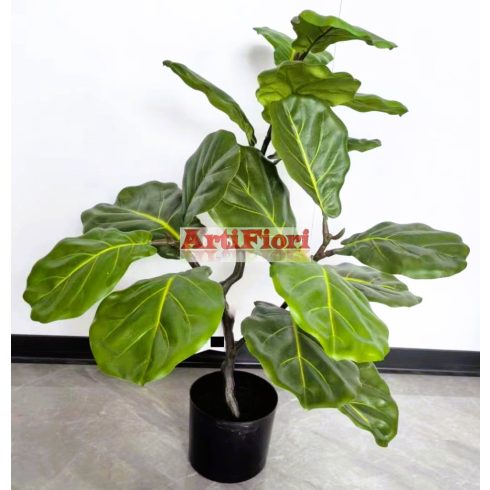 25142 - Cserepes croton 85 cm