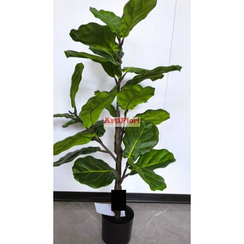 25143 - Cserepes croton 100 cm