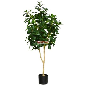 25144 - Cserepes fa 120 cm