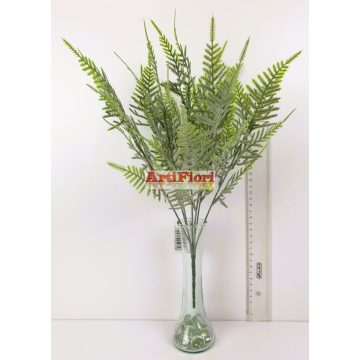 25474 - Aszparágusz bokor 41 cm
