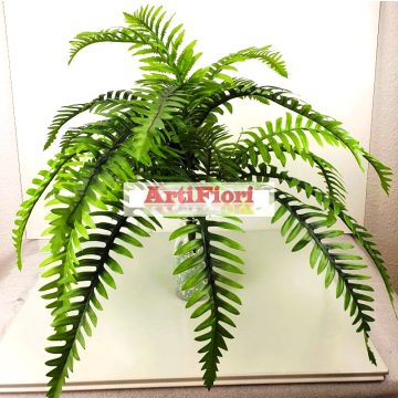 25766 - Páfrány bokor 70 cm