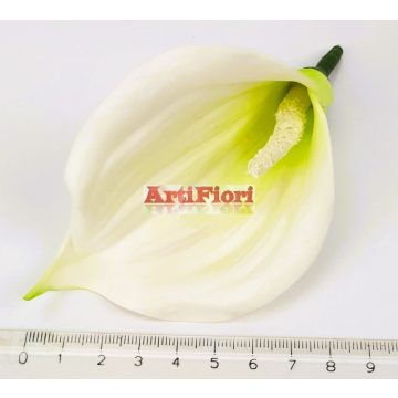 25961 - Kála fej poli 10 cm