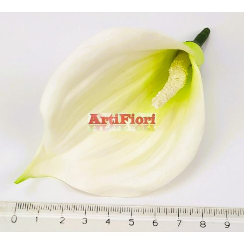25961 - Kála fej poli 10 cm