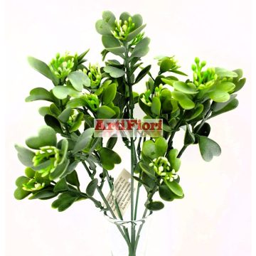 25978 - Eukaliptusz 5 ágú bokor 28 cm