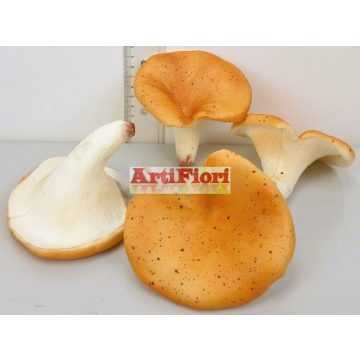 26683 - Gumi gomba 10 cm