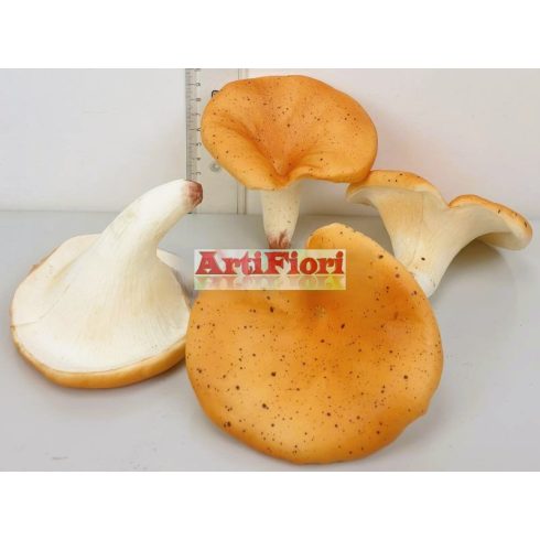 26683 - Gumi gomba 10 cm