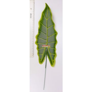 26783 - Levél 50 cm