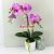 28064 - Orchidea gumiból kerek kerámia kaspóban 46 cm