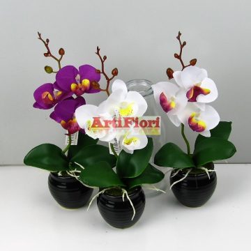 28069 - Cserepes orchidea 25cm