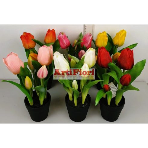 28082 - Gumi cserepes 5v. tulipán 25 cm