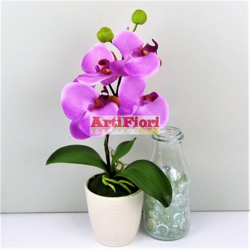 28083 - Kaspós gumi orchidea nagy virágokkal 35 cm