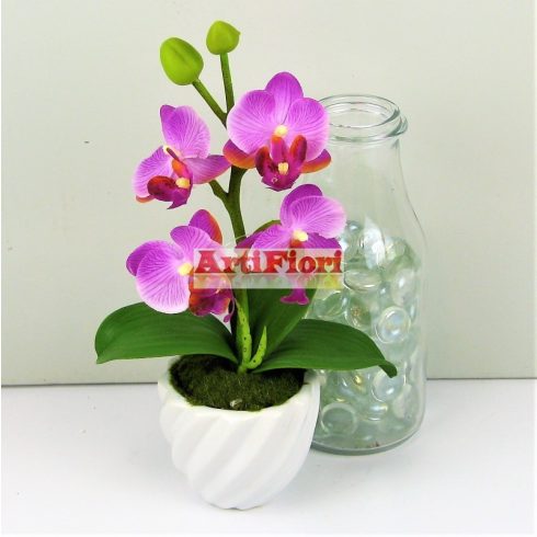 28084 - Kaspós gumi orchidea
