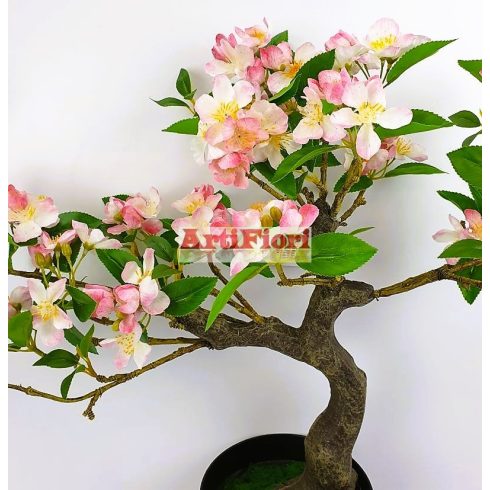 28088 - Bonsai virágokkal 60cm