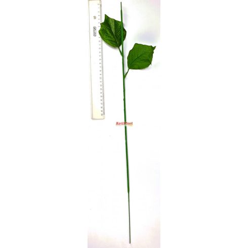 KN146 - Mikulásvirág szár 65 cm