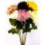 Krizantémok / Chrysanthemums